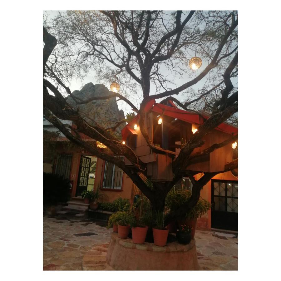Hotel Casa Del Arbol Bernal Buitenkant foto