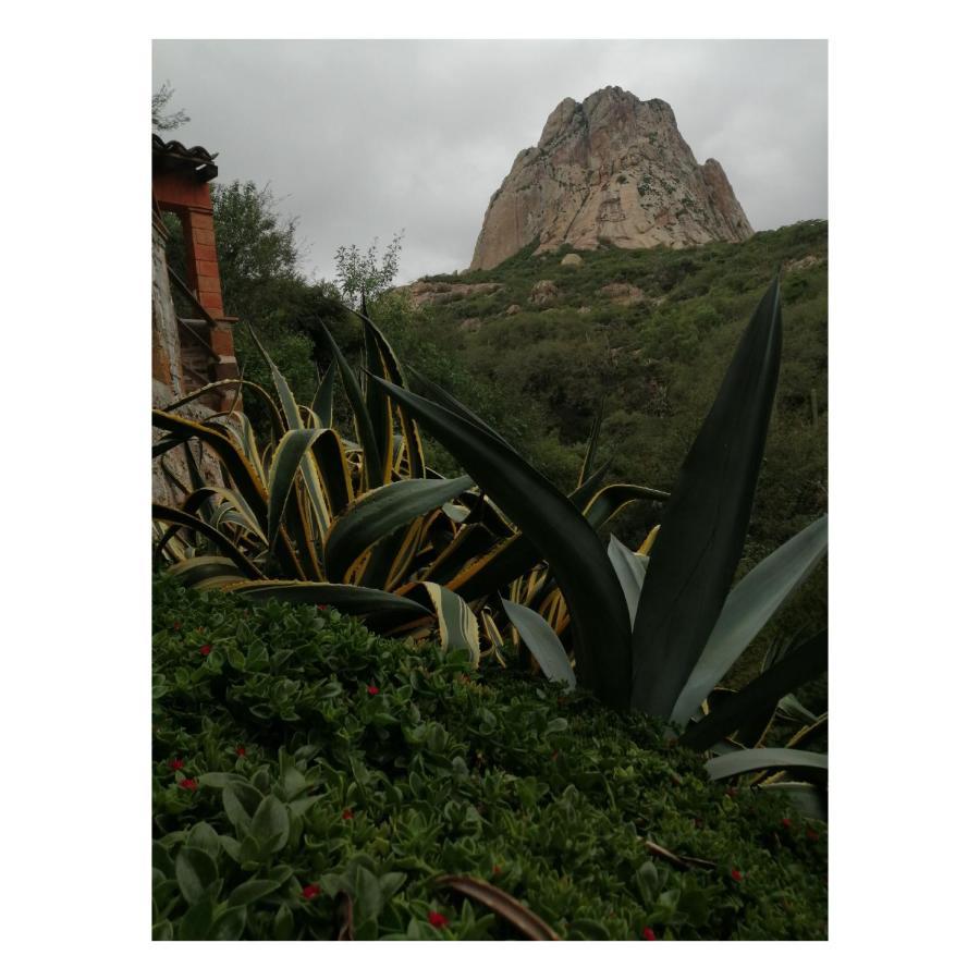 Hotel Casa Del Arbol Bernal Buitenkant foto