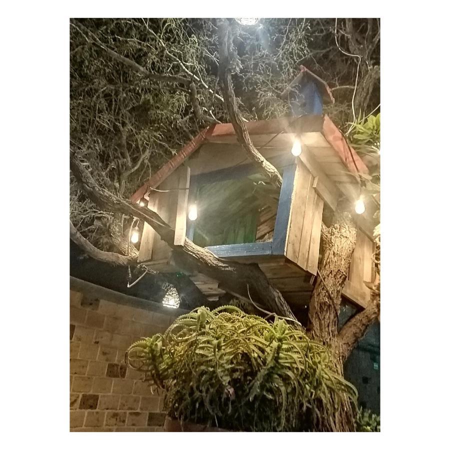 Hotel Casa Del Arbol Bernal Buitenkant foto