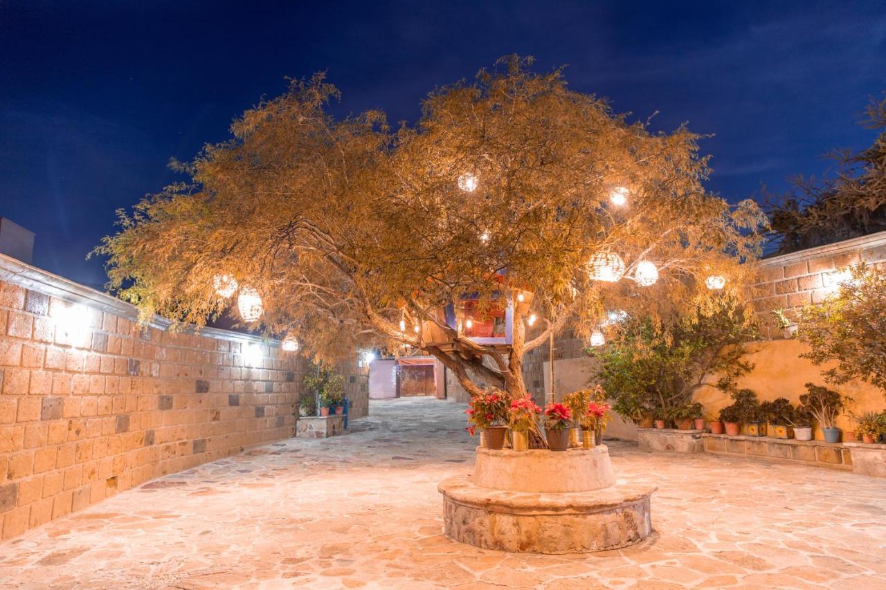 Hotel Casa Del Arbol Bernal Buitenkant foto
